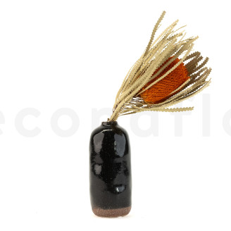 Dried Banksia Hookeriana - 1 Stem - Orange