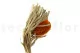 Banksia Hookeriana essiccato Arancione 3