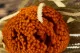 Dried Banksia Hookeriana Orange 2