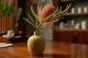 Dried Banksia Hookeriana Old Rose 1