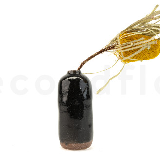 Getrocknete Banksia Hookeriana - 1 Stiel - Gelb