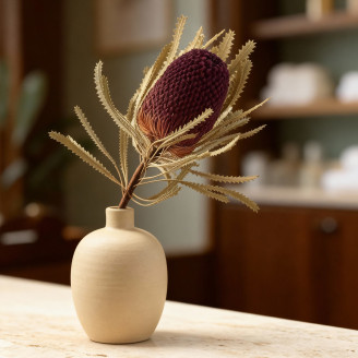 Banksia Hookeriana essiccato - 1 Stelo - Bordeaux