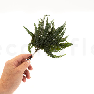 Felci Fern Stabilized - Green