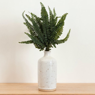 Felci Fern Stabilized - Green