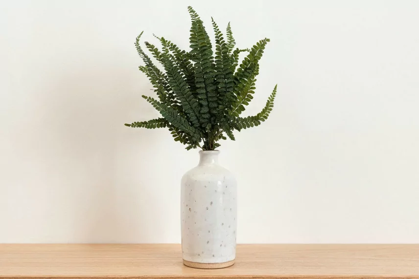 Felci Fern Preserved - Green