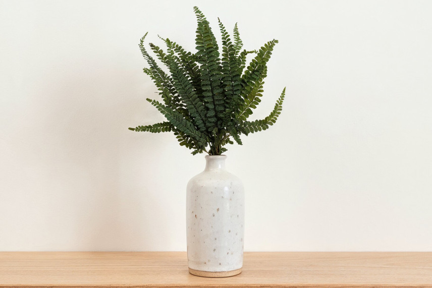 Felci Fern Stabilized - Green
