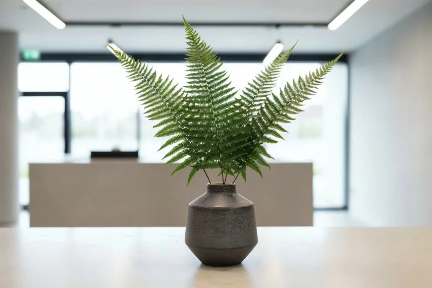 Parchment Fern Preserved - Green