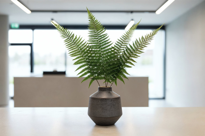 Parchment Fern Stabilized - Green