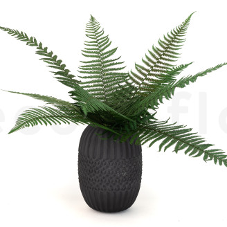 Parchment Fern Stabilized - Green