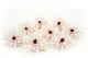 Dalia stabilizzata Bianco (x8) 6