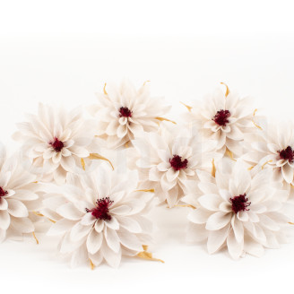 Dalia Stabilizzata - scatola da 8 - Bianco