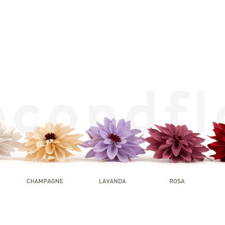 Preserved Dahlia - Box of 8 - White