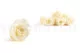 Rose stabilis&eacute;e M Champagne (x12) 7