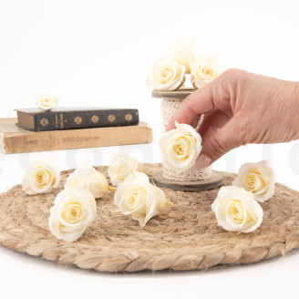 Stabilized rose Verdissimo M - Box of 12 - Champagne