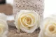 Konservierte Rose M Champagne (x12) 3
