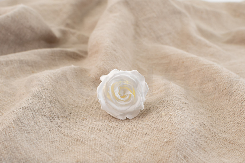 Stabilized rose Verdissimo M - Box of 12 - White