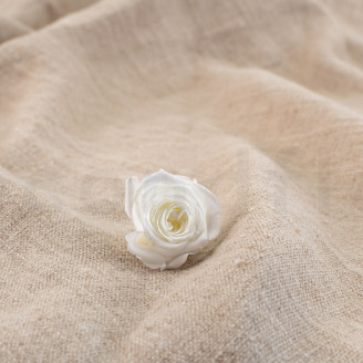 Rose Princess Stabilisée - Boîte de 16 - Blanc