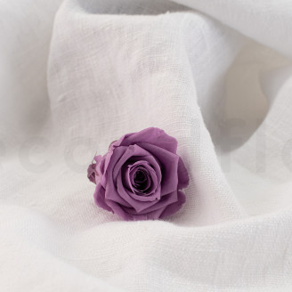 Rose stabilisée Verdissimo M - Boîte de 12 - Lilac
