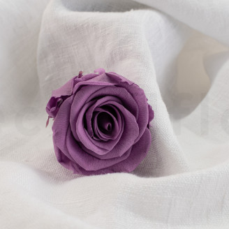Rose stabilisée Verdissimo L - Boîte de 6 - Lilac