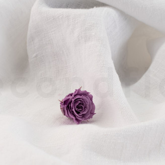 Rose Princess Stabilisée - Boîte de 16 - Lilas