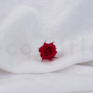 Rosa Princess Stabilizzata - Scatola da 16 - Rosso