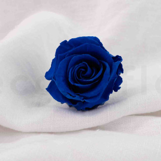 Rosa preservada Verdissimo L - Caja de 6 - Dark Blue