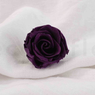 Rosa preservada Verdissimo L - Caja de 6 - Pourpre