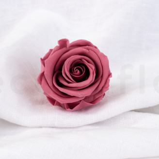 Stabilisierte Rose Verdissimo L - Verpackung 6 St. - Cherry Vintage