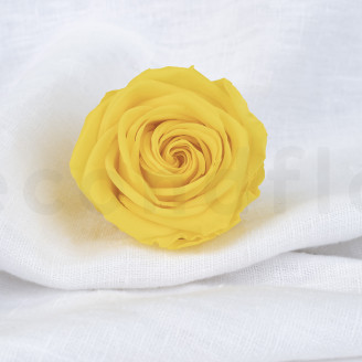 Rosa stabilizzata Verdissimo XL - Scatola da 5 - Bright Yellow