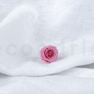 Rose Princess Stabilisée - Boîte de 16 - Pastel Pink