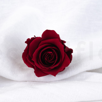 Rosa preservada Verdissimo L - Caja de 6 - Dark Red