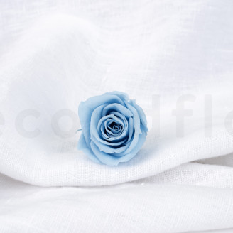 Rose stabilis&eacute;e Verdissimo M - Bo&icirc;te de 12 - Light Blue