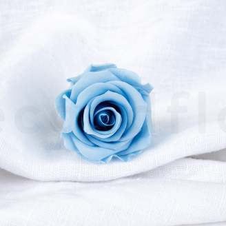 Rosa stabilizzata Verdissimo L - Scatola da 6 - Light Blue