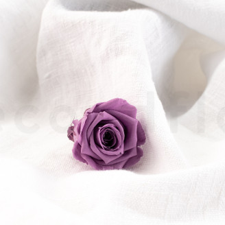 Stabilized rose Verdissimo M - Box of 12 - Lilac