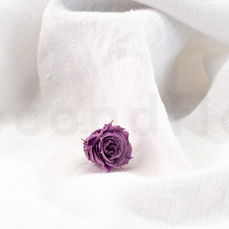 Rose Princess Stabilisiert - Verpackung 16 St. - Lila