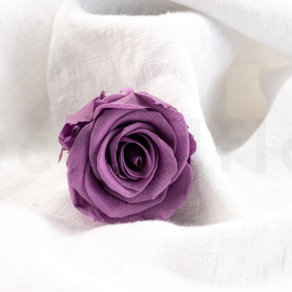 Stabilisierte Rose Verdissimo L - Verpackung 6 St. - Lilac