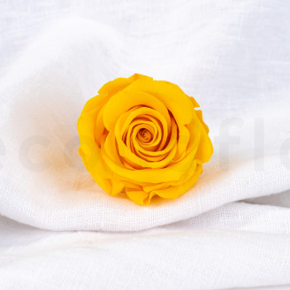 Stabilized rose Verdissimo L - Box of 6 - Warm Yellow