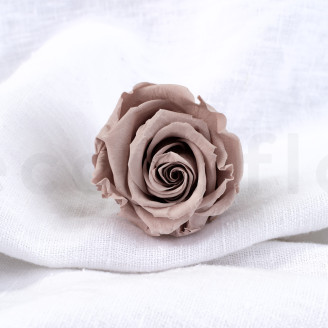 Stabilisierte Rose Verdissimo L - Verpackung 6 St. - Hazelnut