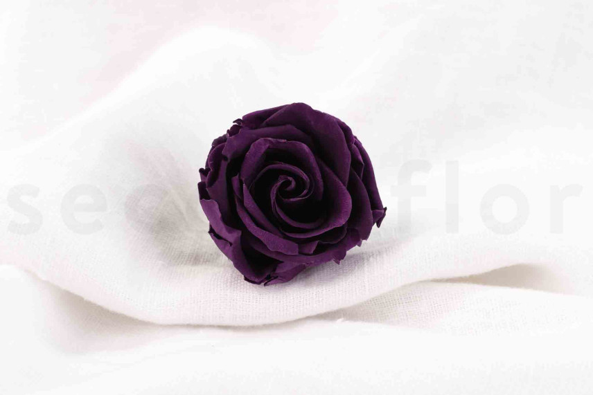 Rosa preservada Verdissimo L - Caja de 6 - Pourpre