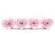 Rose stabilis&eacute;e Forme C&oelig;ur Rose (x4) 2