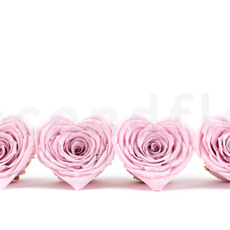 Preserved Heart rose - Box of 4 - Pink