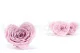 Rosa stabilizzata a Forma di Cuore Rosa (x4) 3