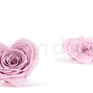Stabilized Heart rose - Box of 4 - Pink