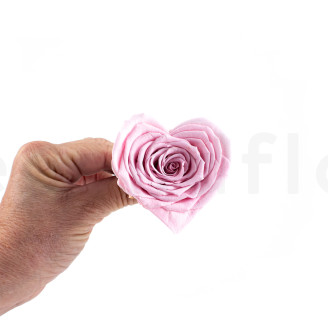 Rose Coeur stabilisée - Boîte de 4 - Rose