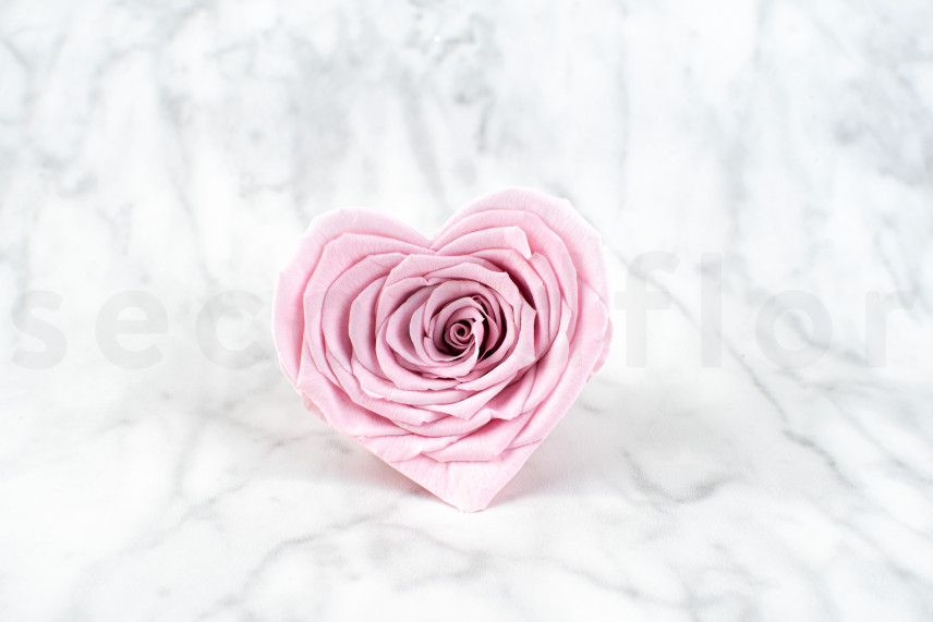 Stabilisiertes Rosenherz - Verpackung 4 St. - Rosa