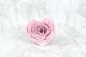 Preserved Heart Shaped Rose Pink (x4) 1