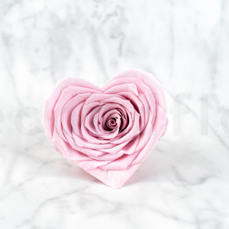 Rosa cuore stabilizzata - Scatola di 4 - Rosa