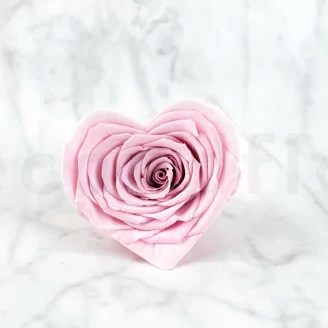 Rosa stabilizzata a Forma di Cuore Rosa (x4)