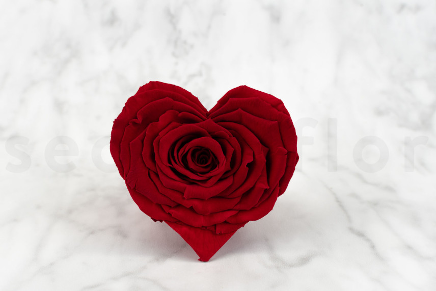 Rosa cuore stabilizzata - Scatola di 4 - Rosso