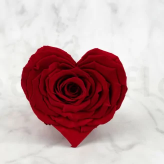 Rose stabilis&eacute;e Forme C&oelig;ur Rouge (x4)
